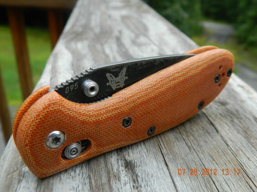 mini griptilian custom scales