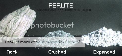 perlite1.jpg
