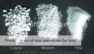 perlite2.jpg