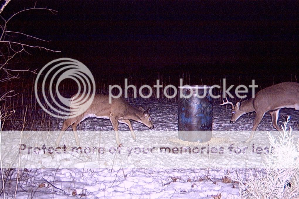 how to make a deer feeder out of 2..55gl drums plastic? New Jersey