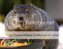 groundhog photo: Huzzah Groundhog Groundhog.jpg