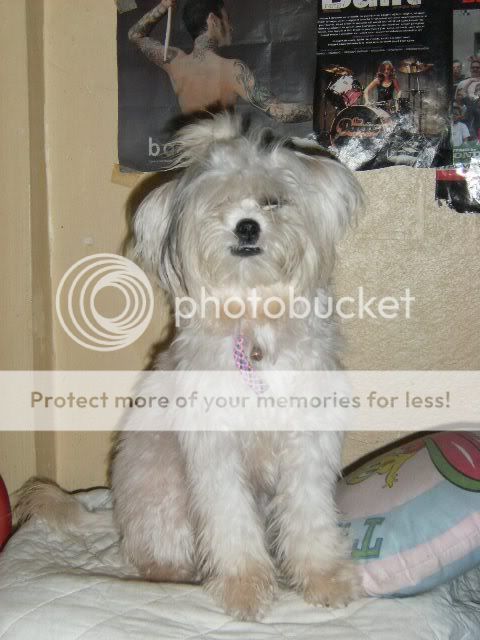 DSCF1257.jpg