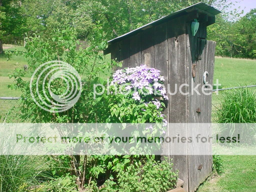 talk to me about out houses ~ - Homesteading Questions