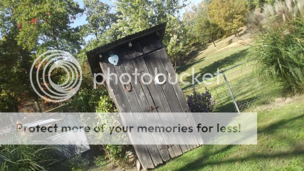 talk to me about out houses ~ - Homesteading Questions