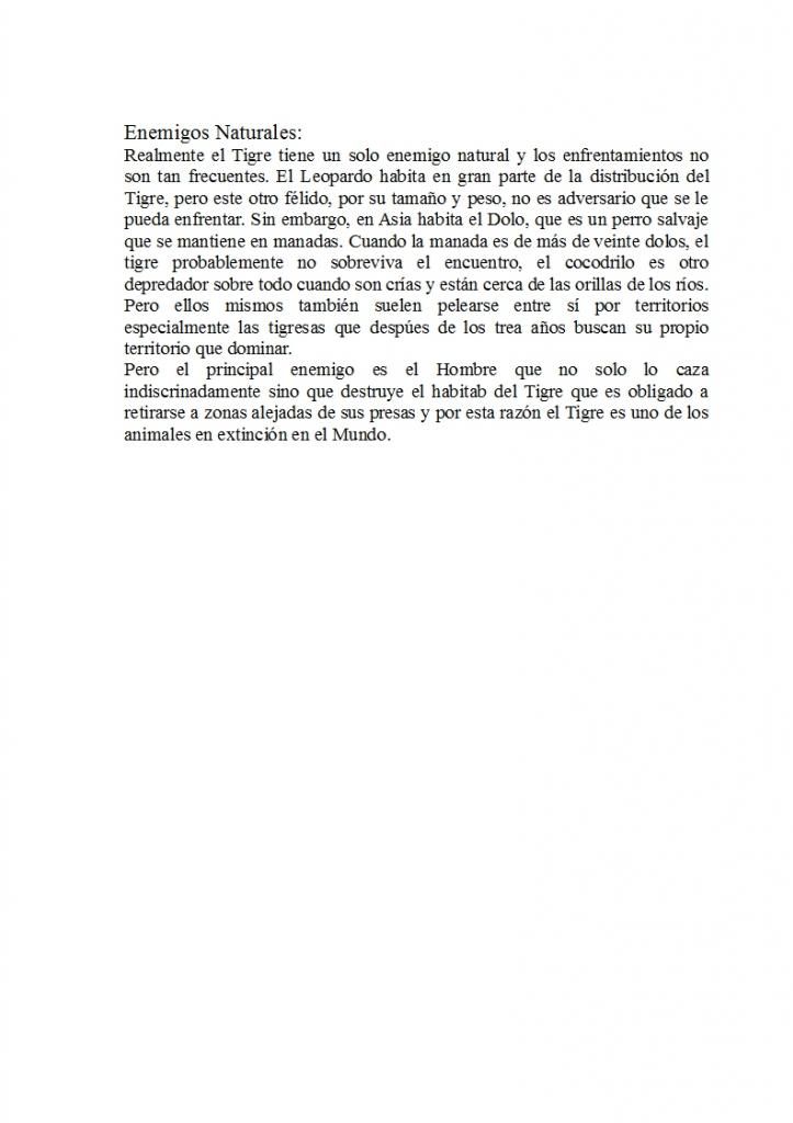 El Tigre, info, fotos y videos.