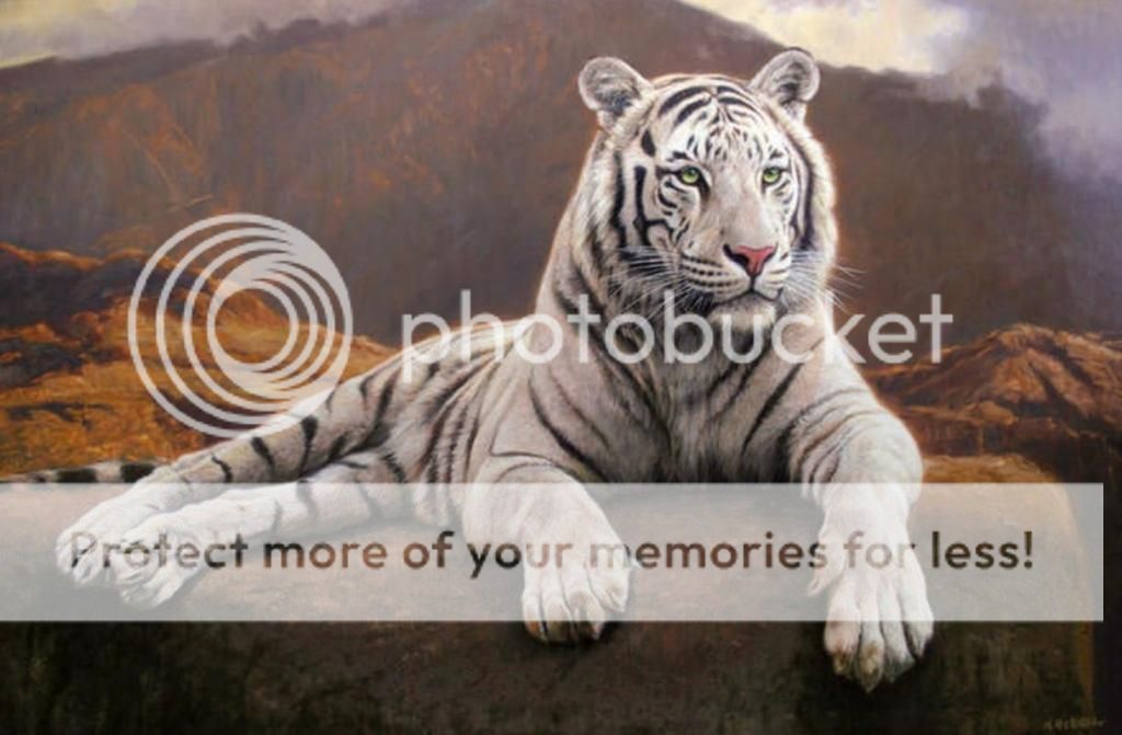 tigre