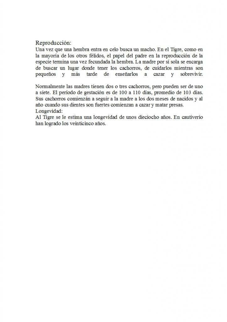 El Tigre, info, fotos y videos.
