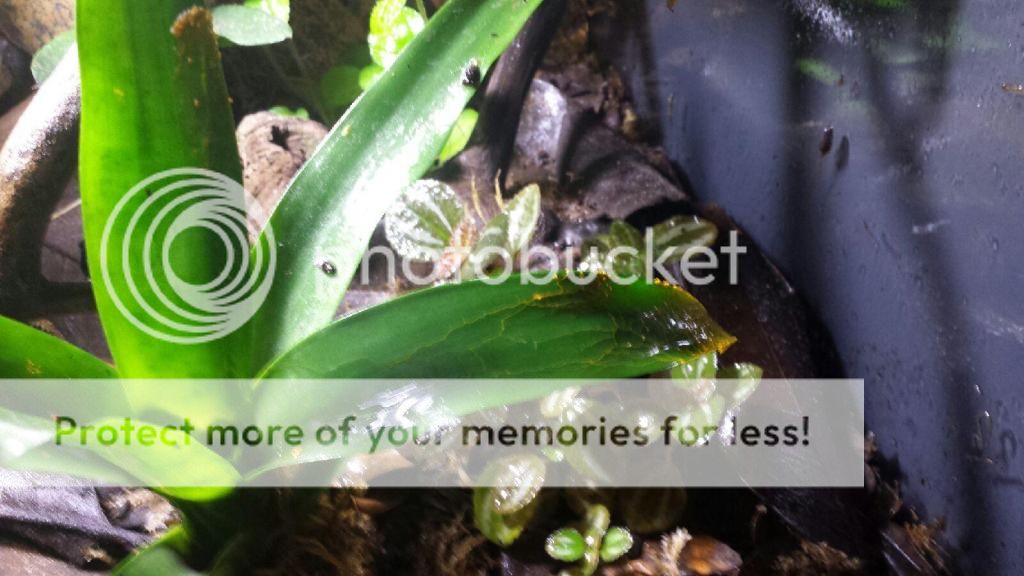 [Image: 20131202_205349_zps2b3a8b14.jpg]