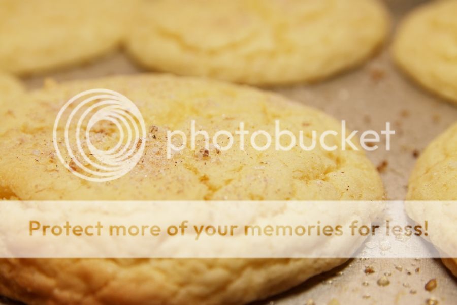 IMAGE: http://i868.photobucket.com/albums/ab249/gattisisgood/Creative/IMG_5981_zps2b078ba9.jpg