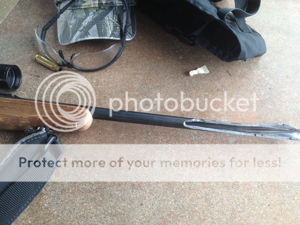 Which Best Bore Sight is the best to buy / best BANG for your buck