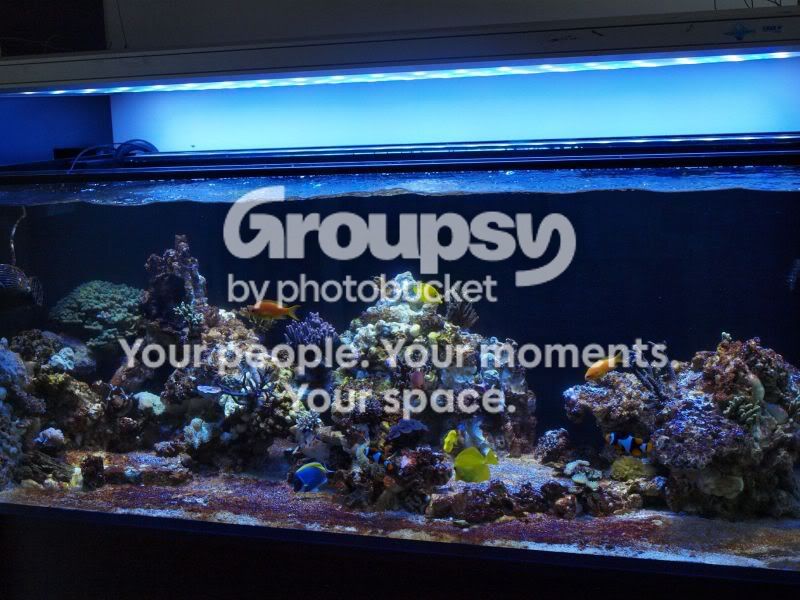 [TodoMarino.com] El nuevo gran ell acuario