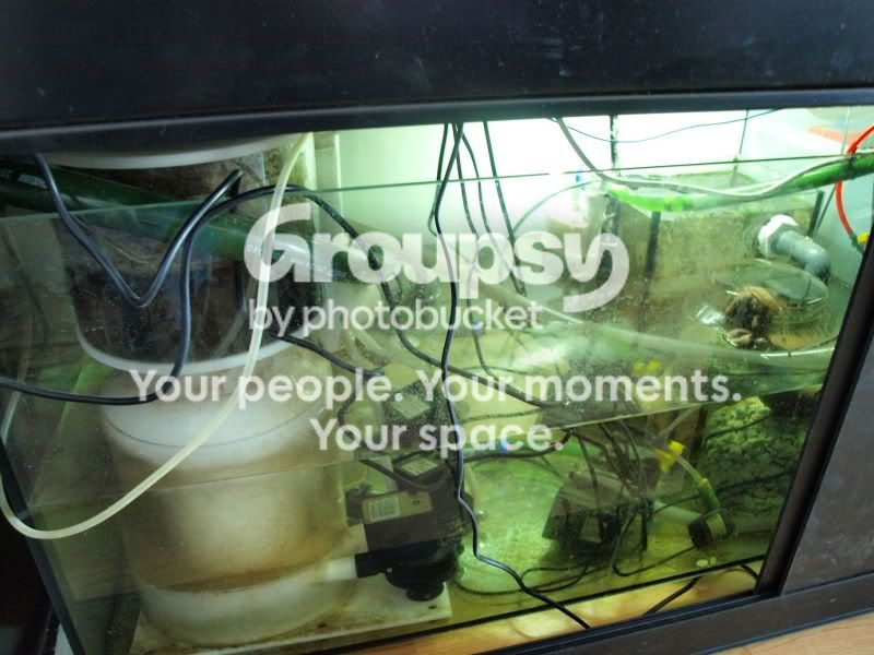 [TodoMarino.com] El nuevo gran ell acuario