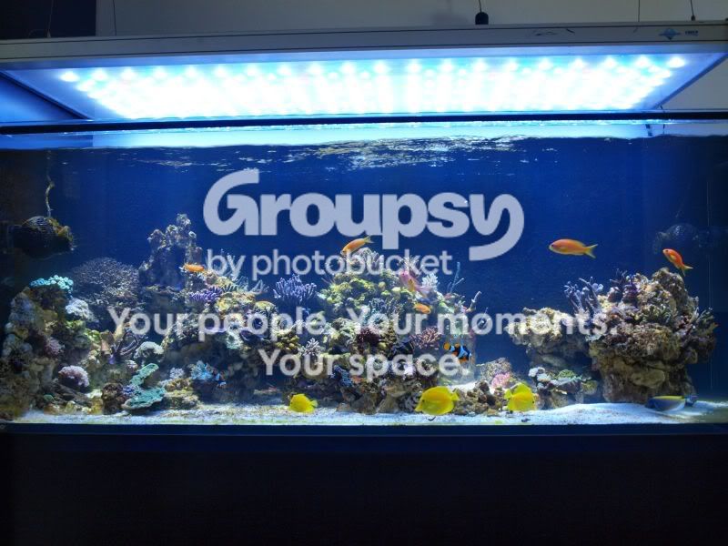 [TodoMarino.com] El nuevo gran ell acuario