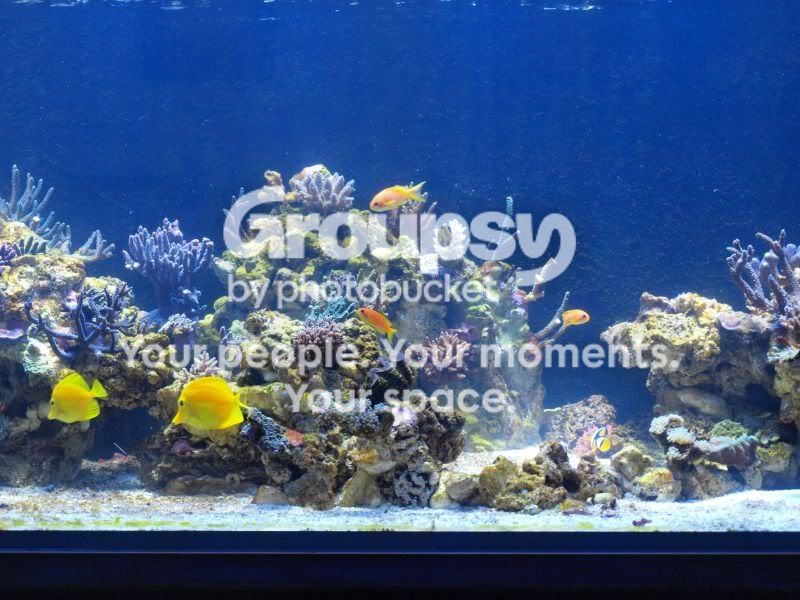 [TodoMarino.com] El nuevo gran ell acuario