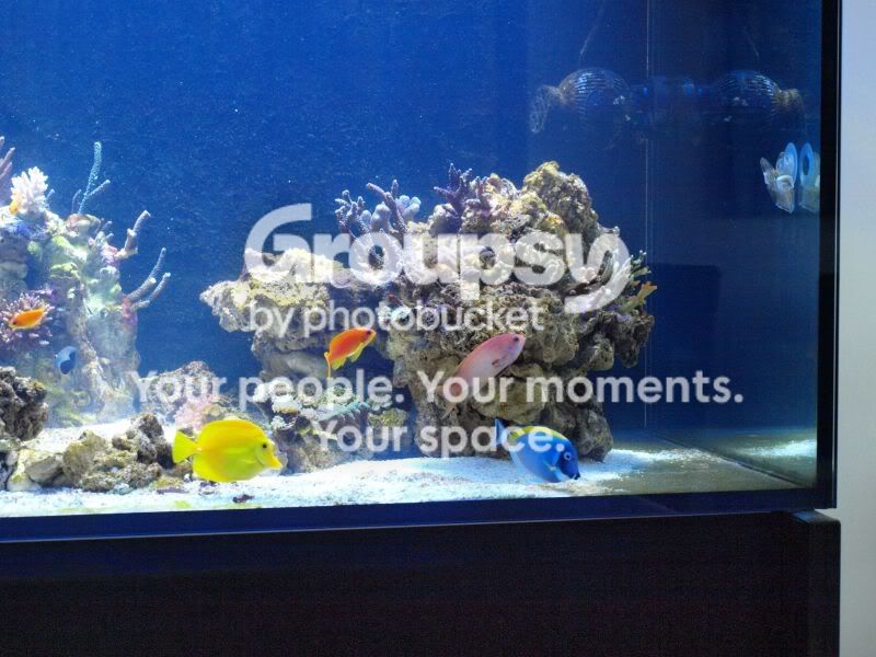 [TodoMarino.com] El nuevo gran ell acuario