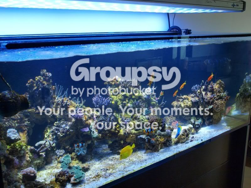 [TodoMarino.com] El nuevo gran ell acuario
