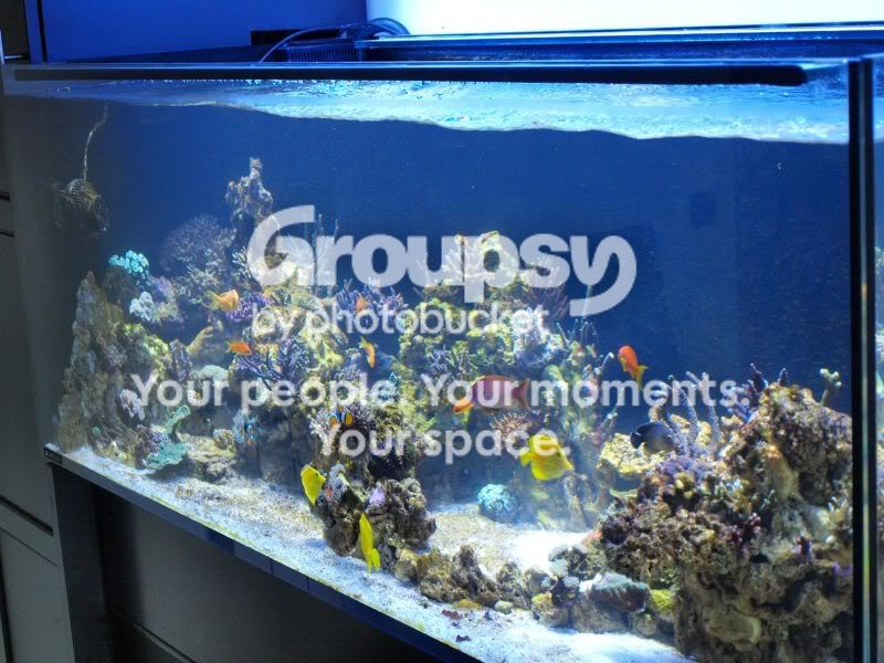 [TodoMarino.com] El nuevo gran ell acuario