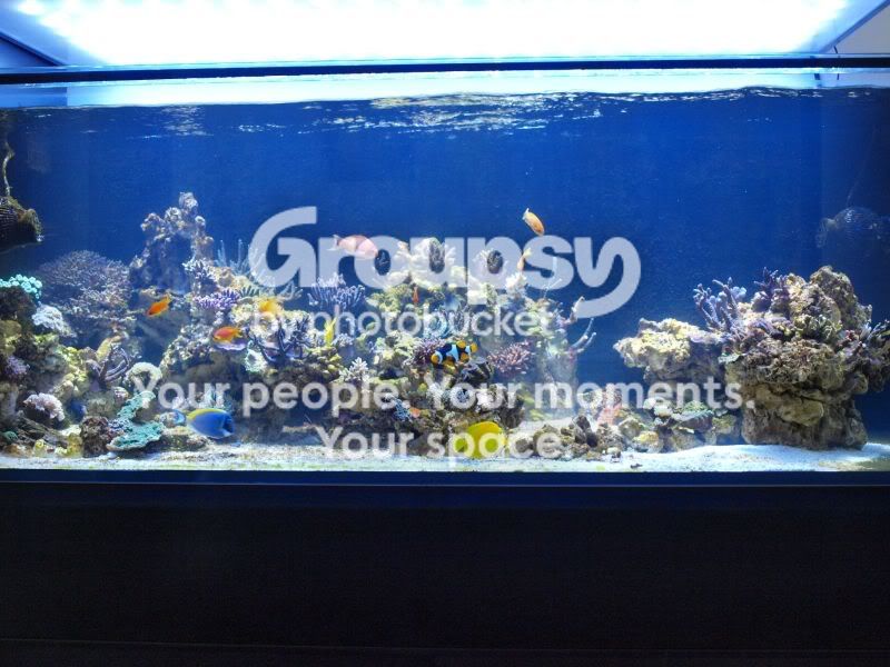 [TodoMarino.com] El nuevo gran ell acuario