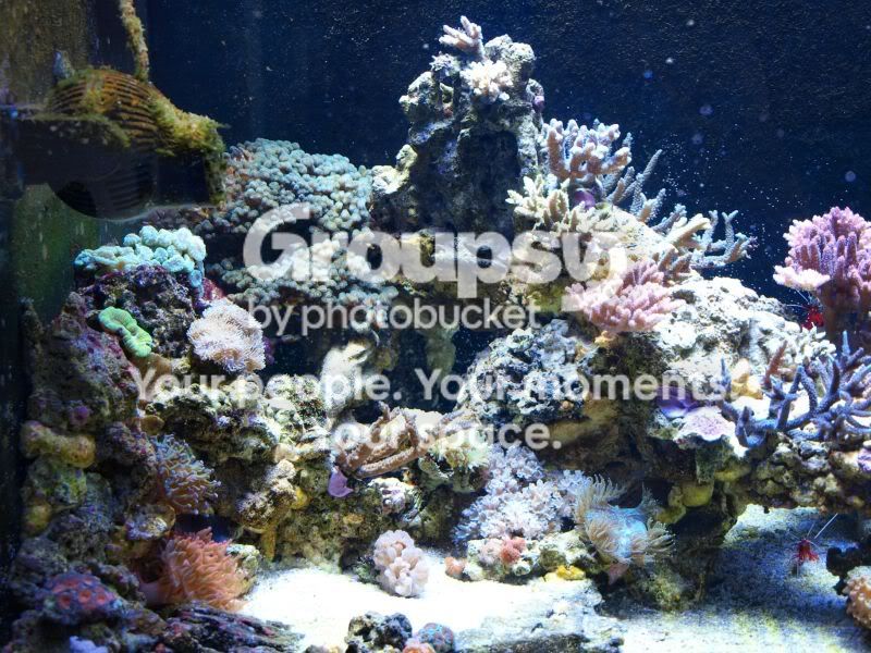 [TodoMarino.com] El nuevo gran ell acuario