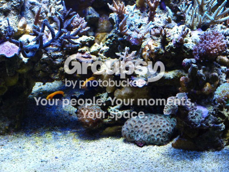[TodoMarino.com] El nuevo gran ell acuario