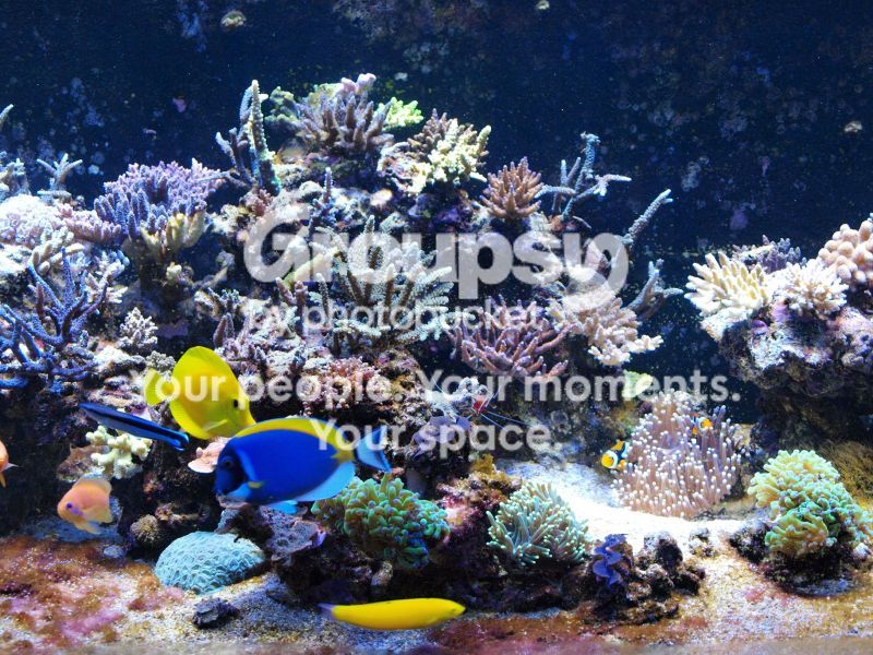 [TodoMarino.com] El nuevo gran ell acuario
