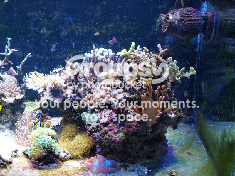 [TodoMarino.com] El nuevo gran ell acuario