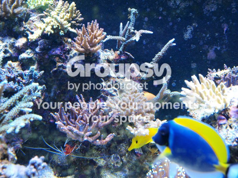 [TodoMarino.com] El nuevo gran ell acuario