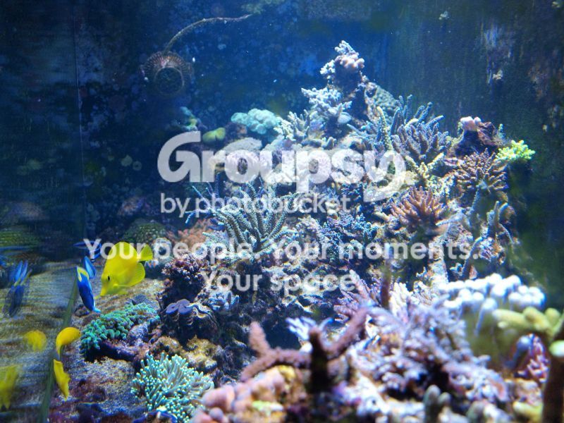 [TodoMarino.com] El nuevo gran ell acuario