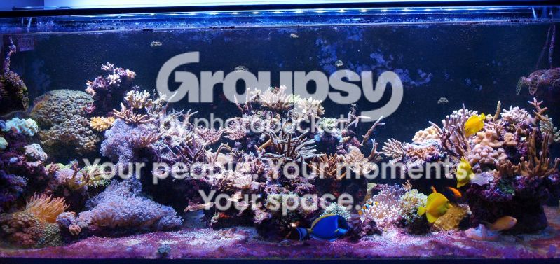 [TodoMarino.com] El nuevo gran ell acuario