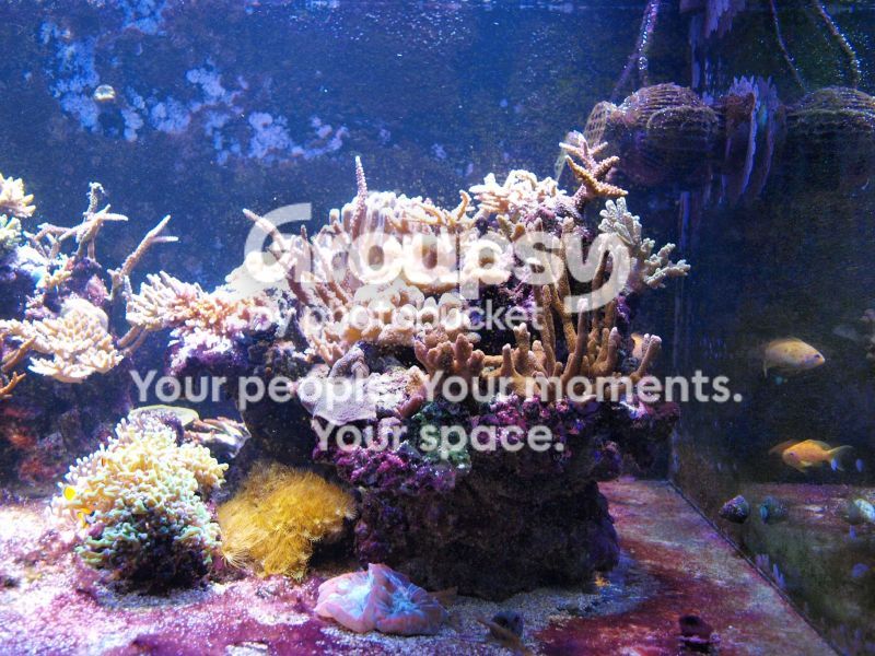 [TodoMarino.com] El nuevo gran ell acuario
