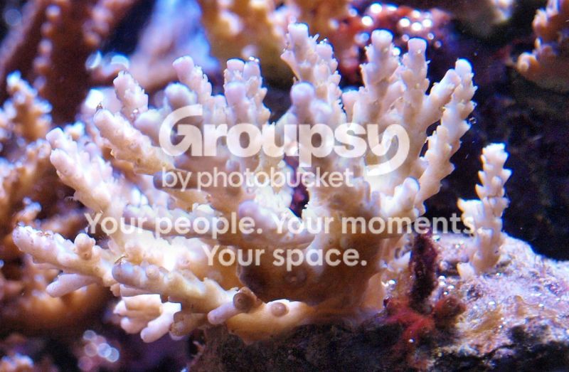 [TodoMarino.com] El nuevo gran ell acuario
