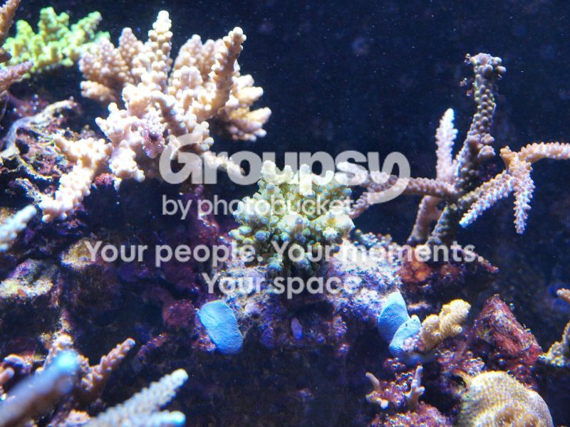 [TodoMarino.com] El nuevo gran ell acuario