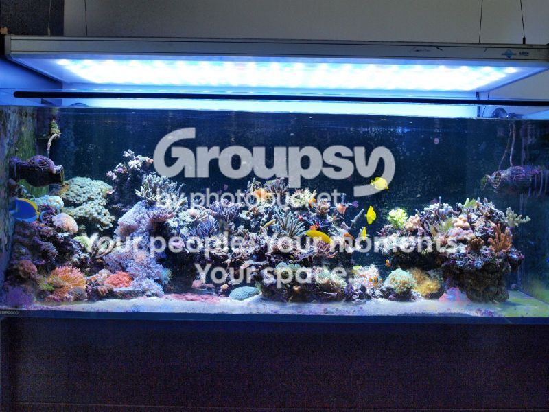 [TodoMarino.com] El nuevo gran ell acuario