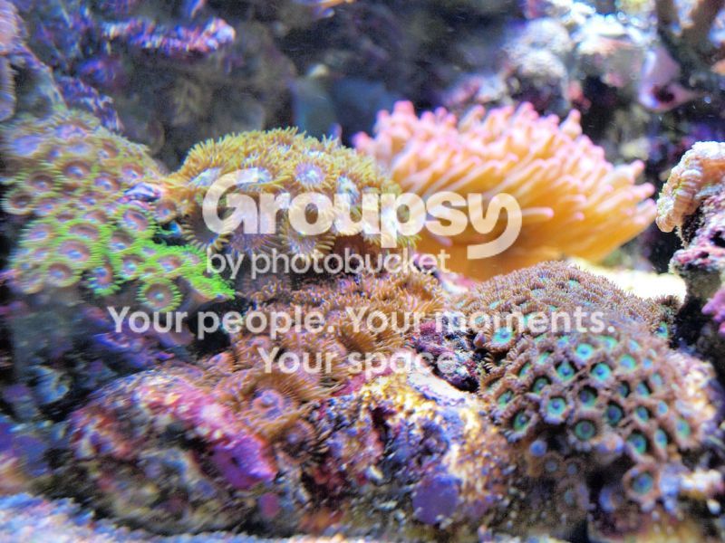 [TodoMarino.com] El nuevo gran ell acuario