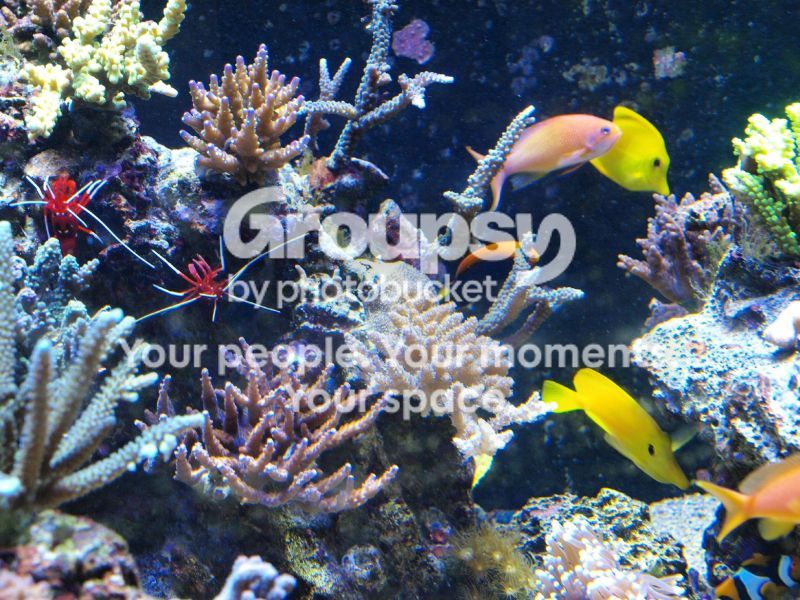 [TodoMarino.com] El nuevo gran ell acuario