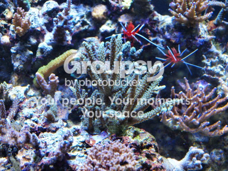 [TodoMarino.com] El nuevo gran ell acuario