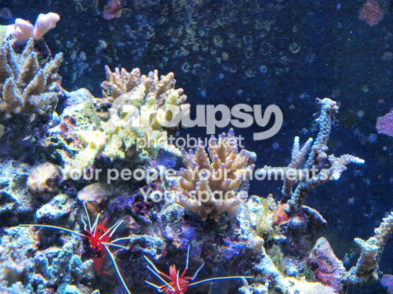 [TodoMarino.com] El nuevo gran ell acuario