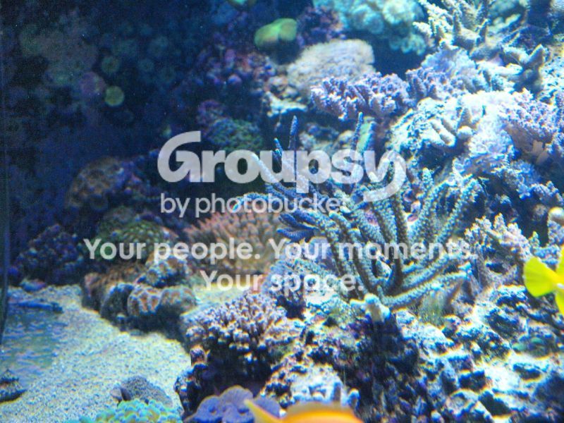 [TodoMarino.com] El nuevo gran ell acuario