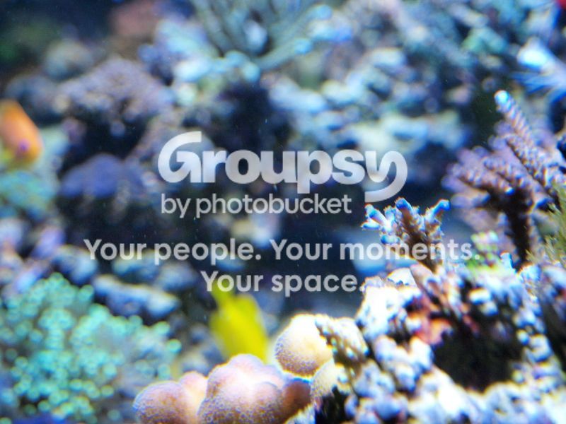 [TodoMarino.com] El nuevo gran ell acuario