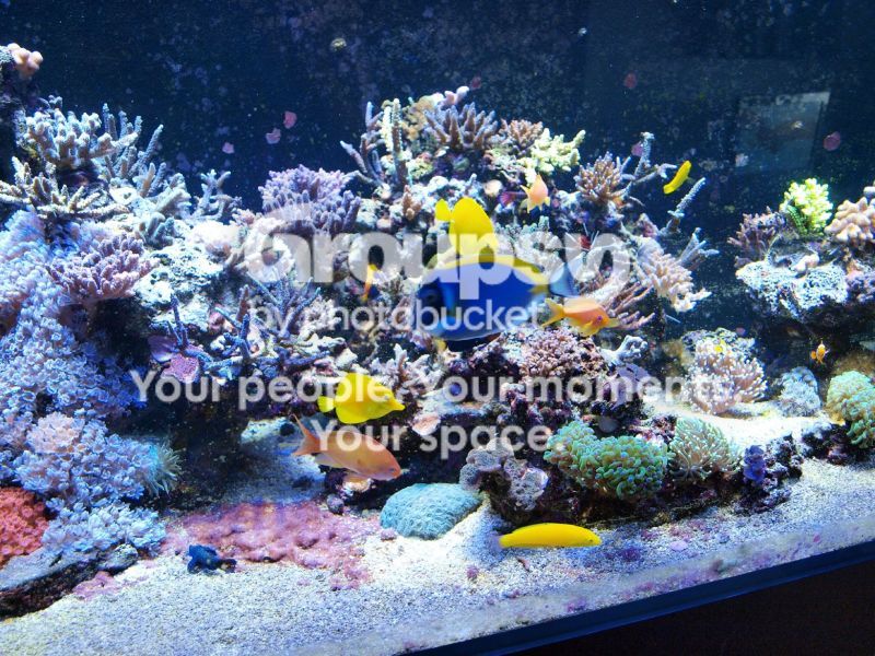 [TodoMarino.com] El nuevo gran ell acuario