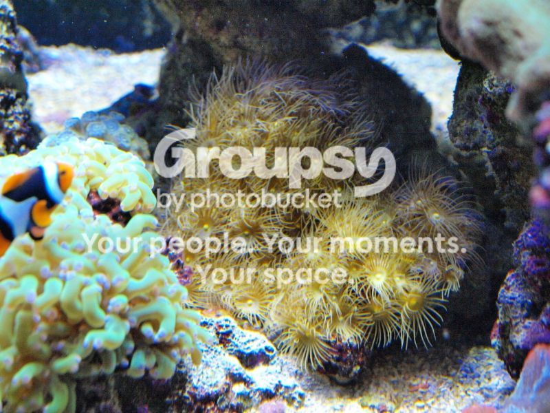 [TodoMarino.com] El nuevo gran ell acuario