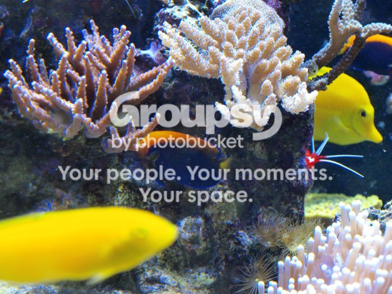 [TodoMarino.com] El nuevo gran ell acuario