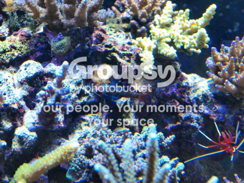 [TodoMarino.com] El nuevo gran ell acuario