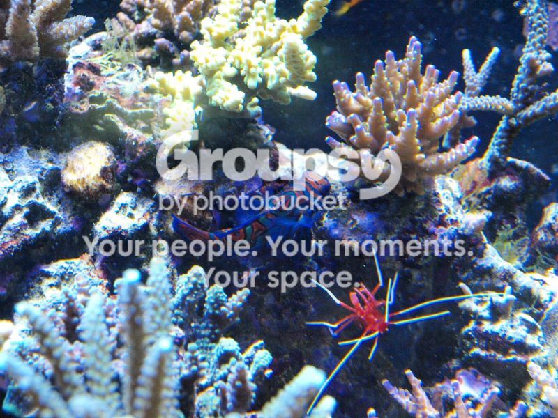 [TodoMarino.com] El nuevo gran ell acuario